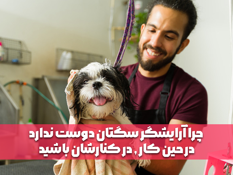 چرا آرایشگر سگتان دوست ندارد در حین کار , در کنارشان باشید